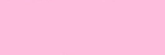 🌷🥟 banner