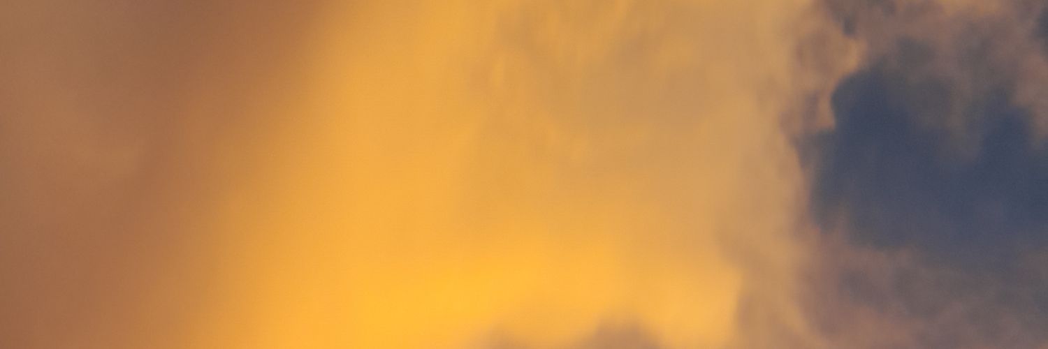 LuisAlbert34982's profile banner image
