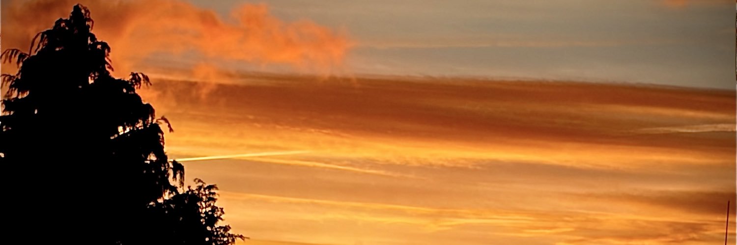 Rob Lee banner