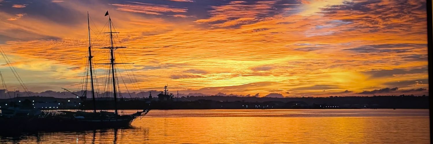 santiago rodriguez martinez banner