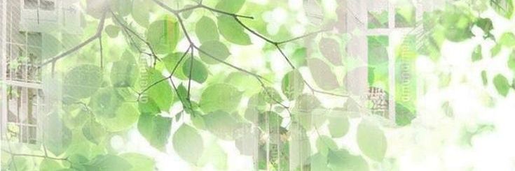 ᭝ ᨳଓ ՟ voiddd ! 🌈 banner