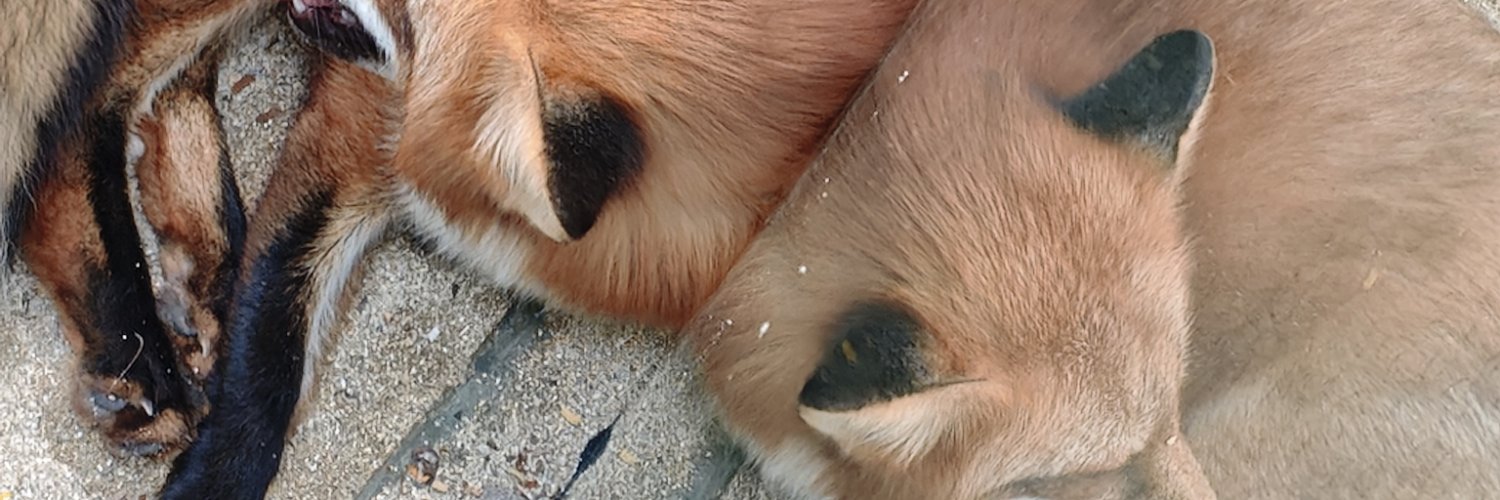 itsxcelle's profile banner image