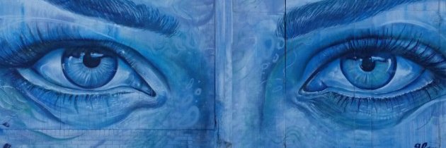 susanmccue's profile banner image