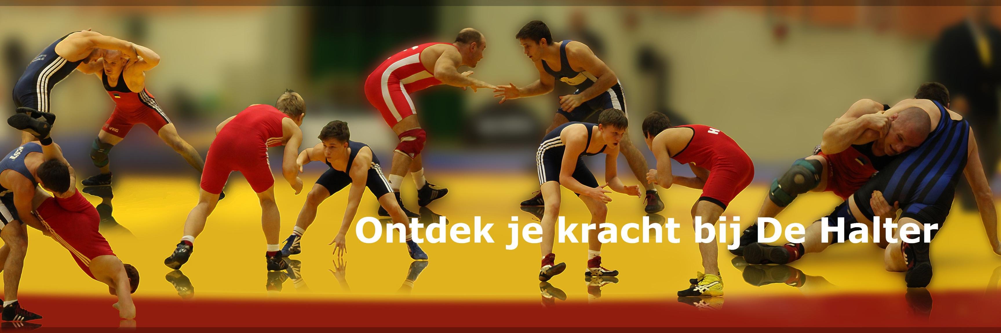 DeHalter's profile banner image