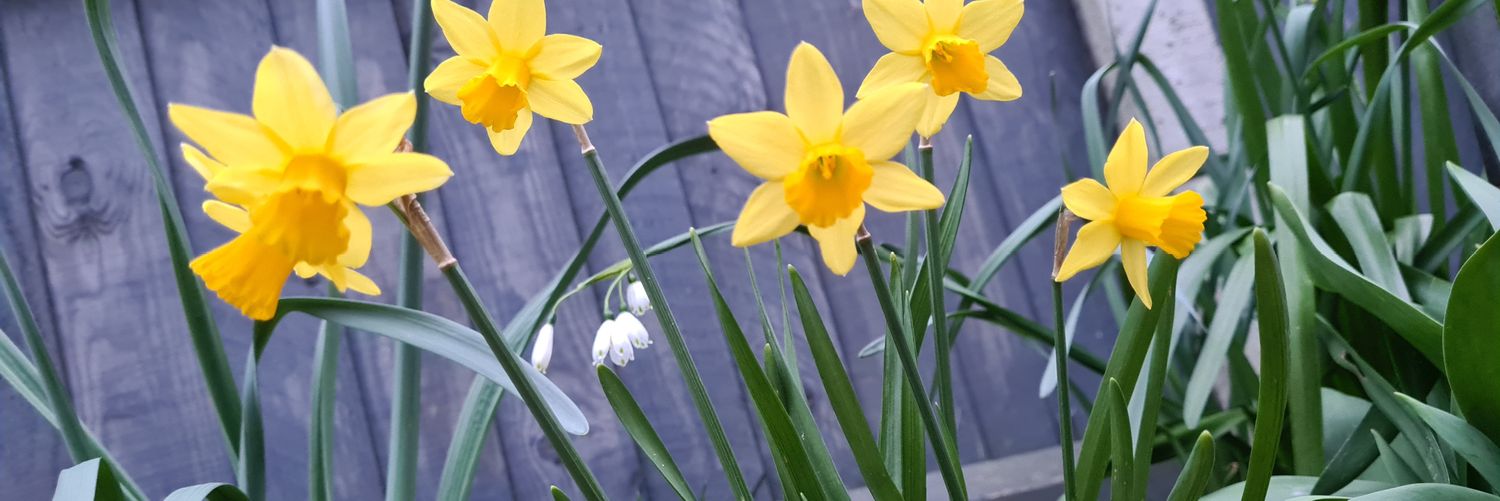 jo_ross20's profile banner image