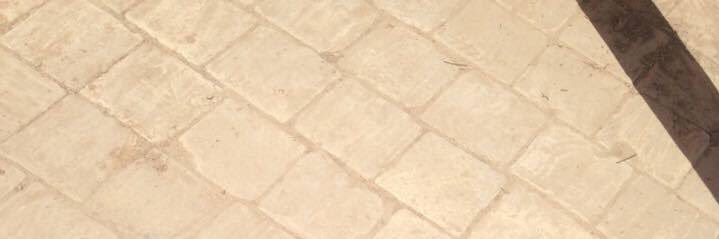 Silvia Balducci banner