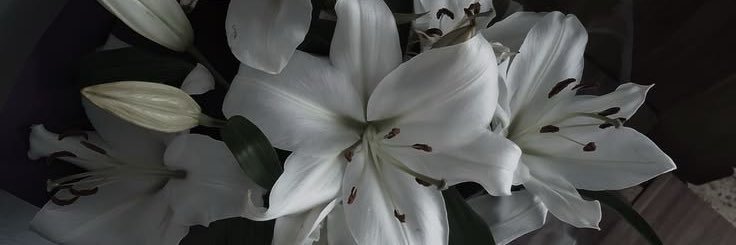 Агата. banner