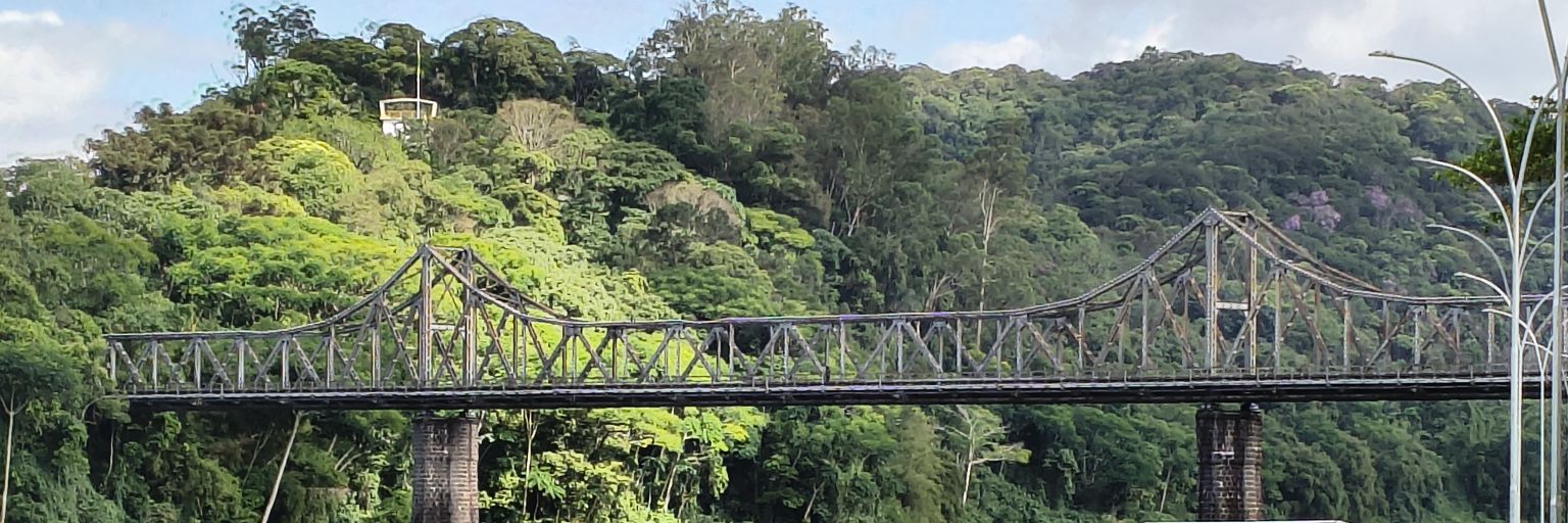 Vinícius Dittrich 🇧🇷 banner