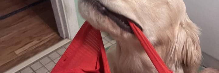 Mildred 💋💕 banner