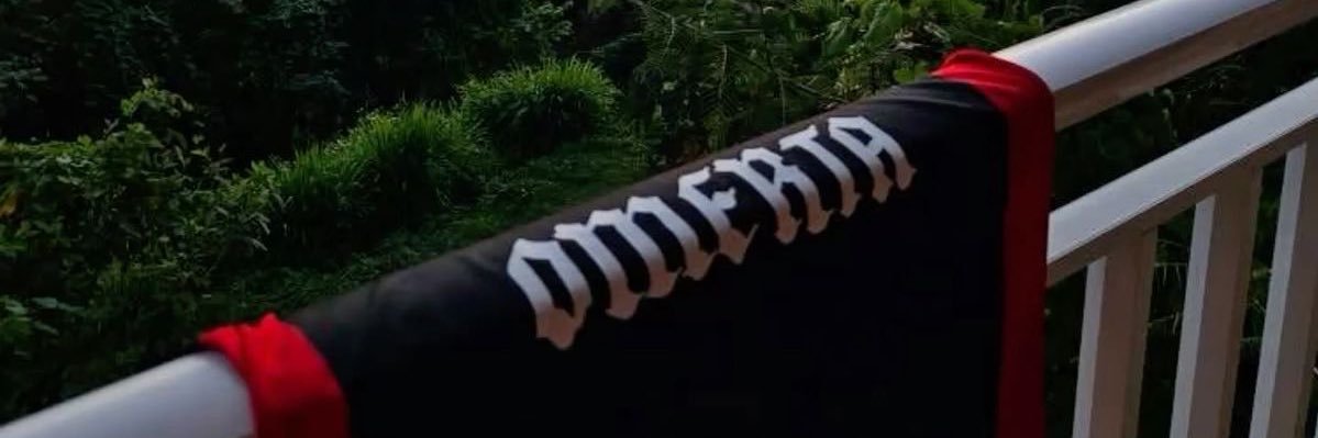 finishthecheat's profile banner image