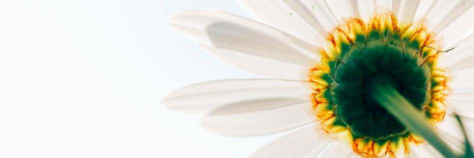 lisasydes's profile banner image