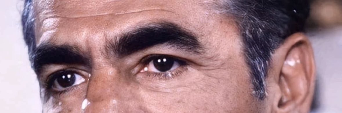 Rex4Iran's profile banner image