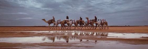 دَعْجَاء banner