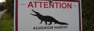 NWOFKA.GAT0RGEAR banner