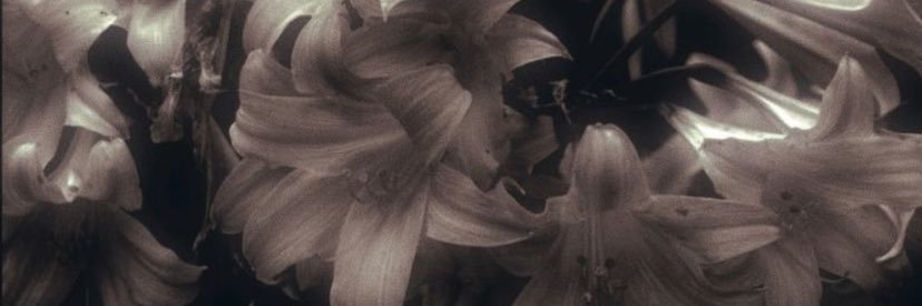 kathréptis. ✧ | mesa aberta banner