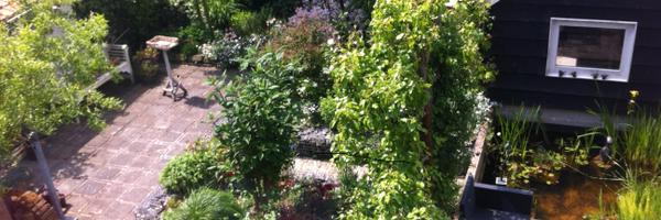 ClaudiaMJS Profile Banner