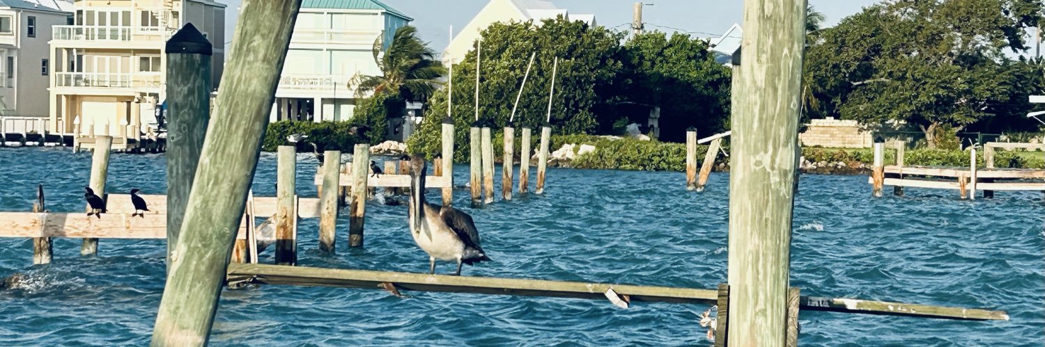 GG ❄️ Detroit banner