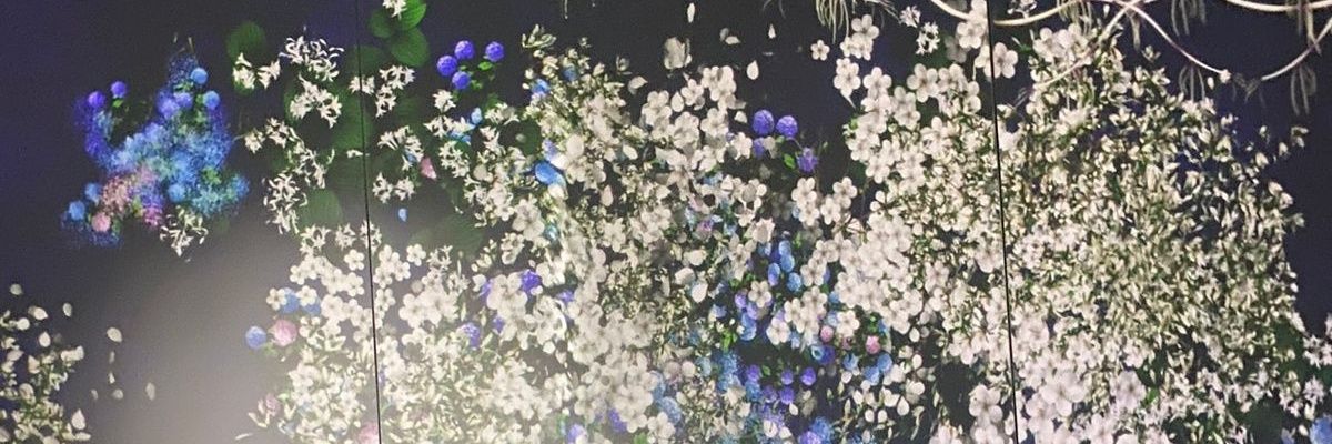 rain petals banner