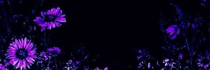 moon_futa's profile banner image