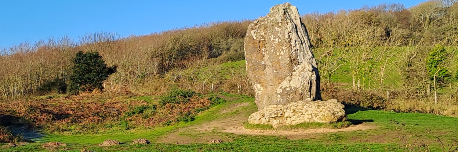 Marie Robertson banner