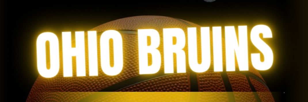 Ohio Bruins banner