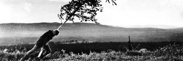 Eleri's banner