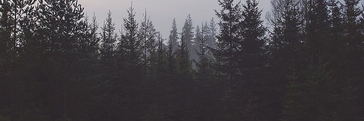 Lovey Dovey || 3/5 Cømms Open banner