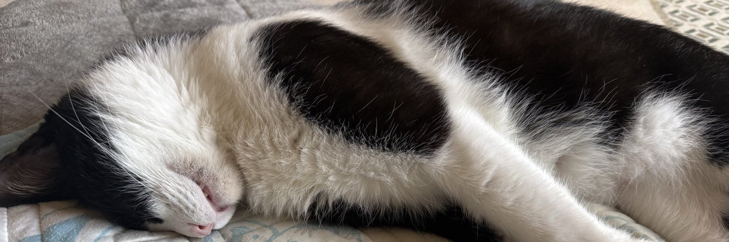 wigfurjog's profile banner image