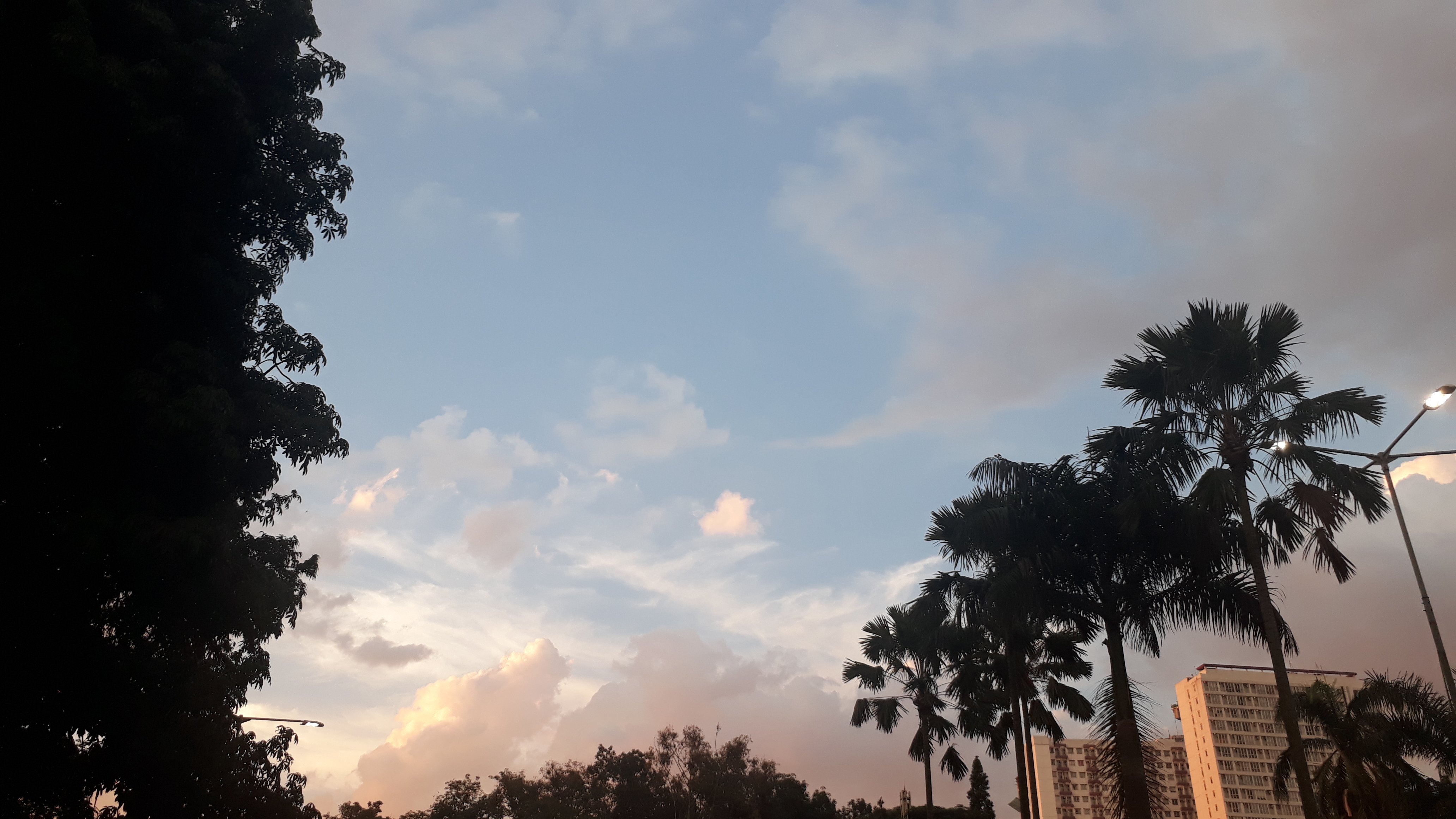 Catar_Joy's profile banner image