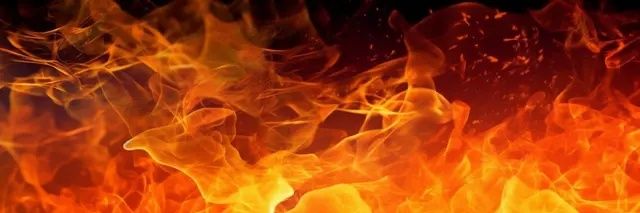 𝙷𝚒𝚋𝚞𝚗𝚗𝚢.ᐟ.ᐟ banner