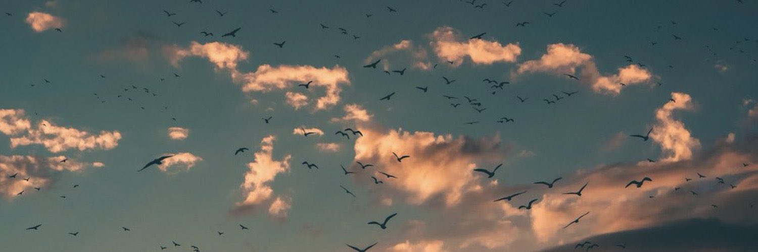 Hssuleman1's profile banner image