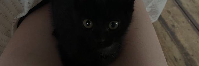 strmugev's profile banner image