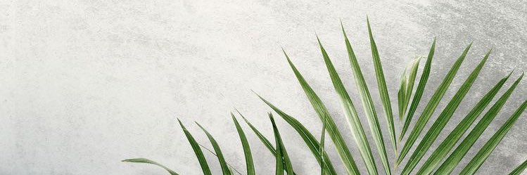 jo13ne's profile banner image