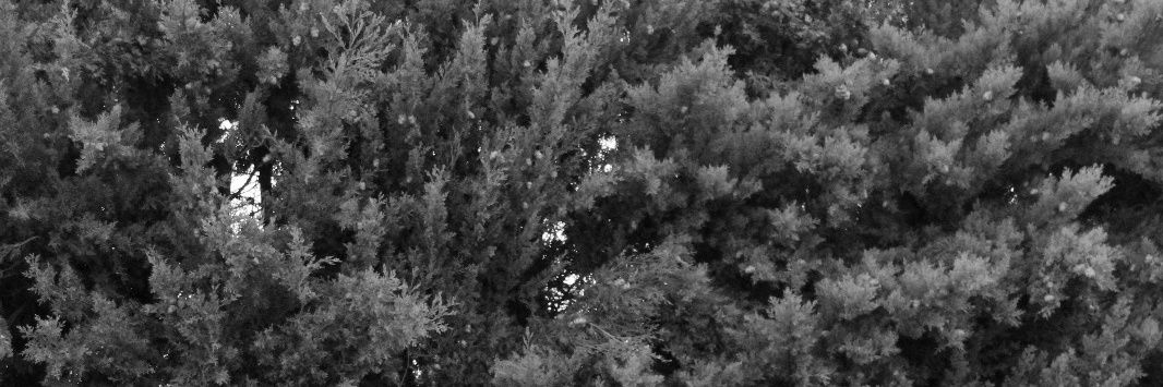 lCrist10's profile banner image