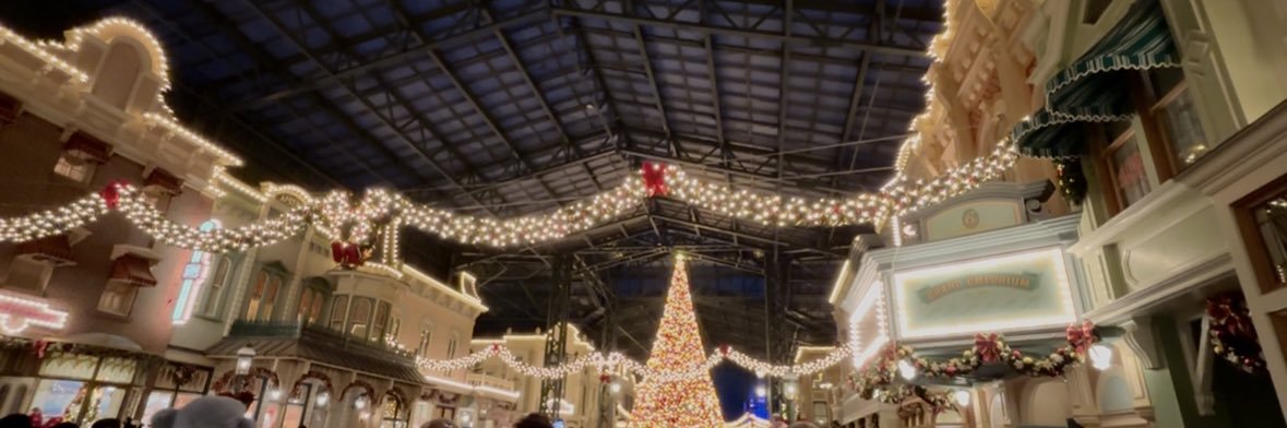 だいㄘゅ🩵 banner