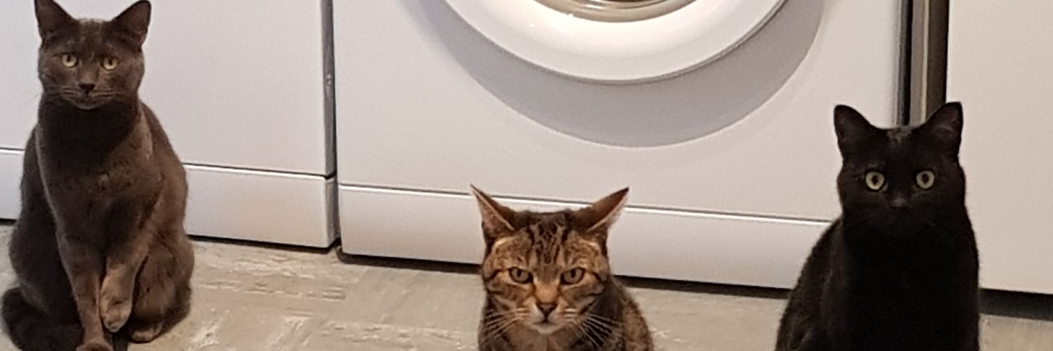 🖤☞Gem☜🖤 banner