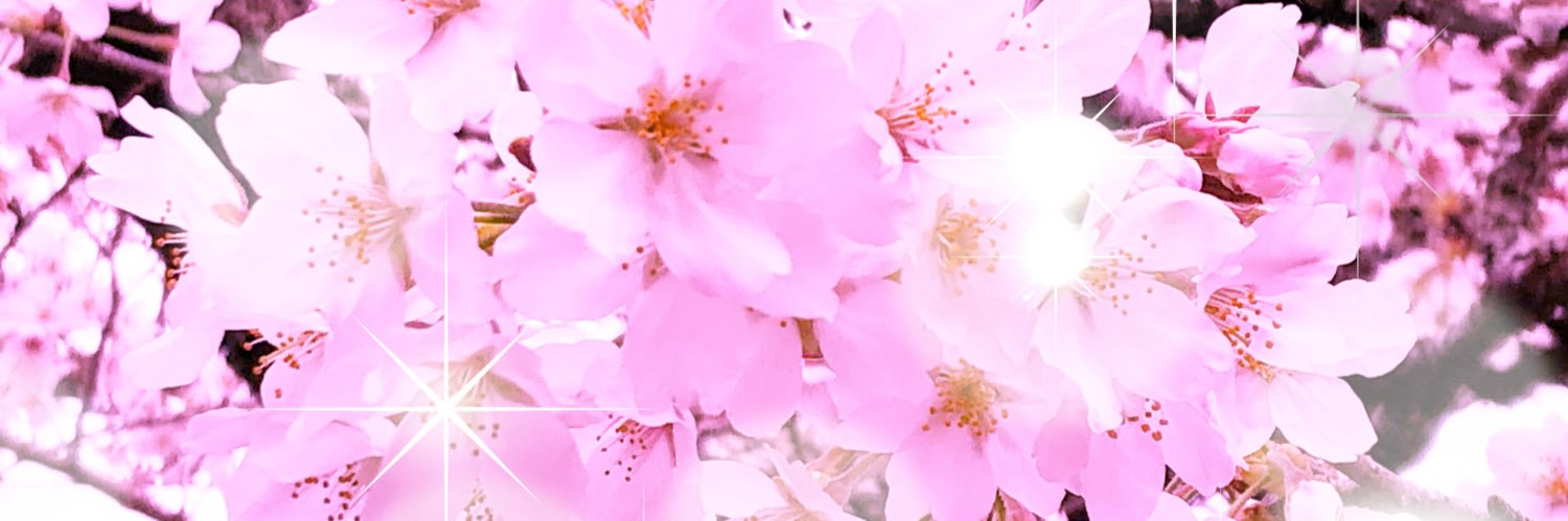 とわ banner