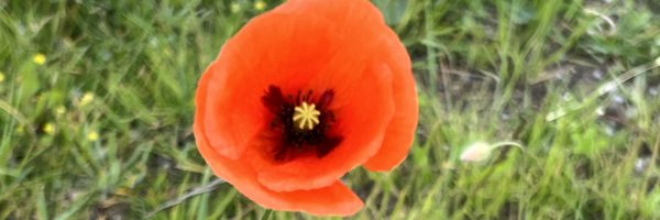 FabianZoon Profile Banner