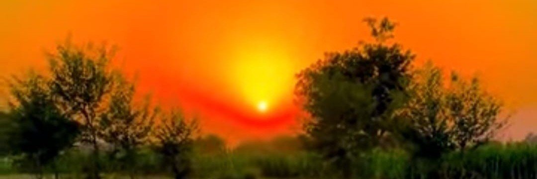 chw58186's profile banner image