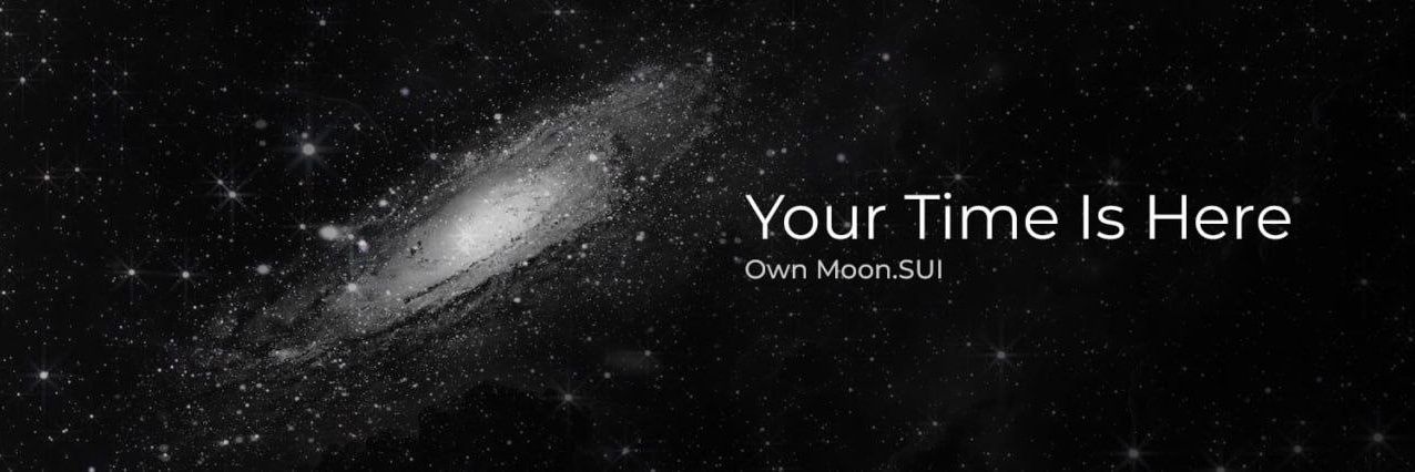 Sui Address banner