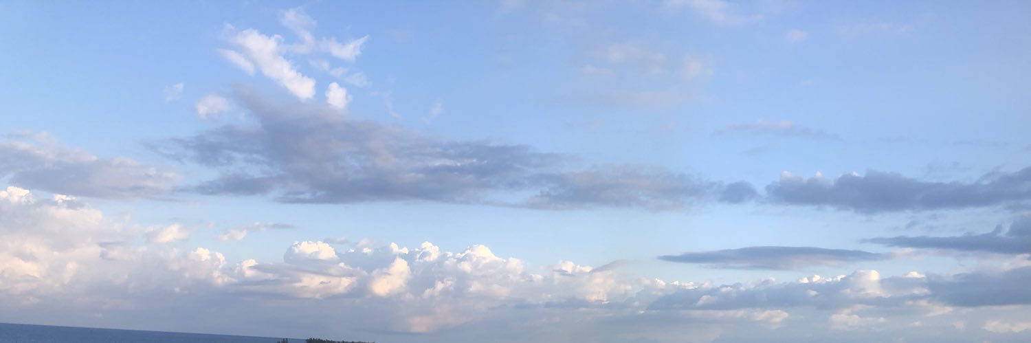 Maximvs25's profile banner image