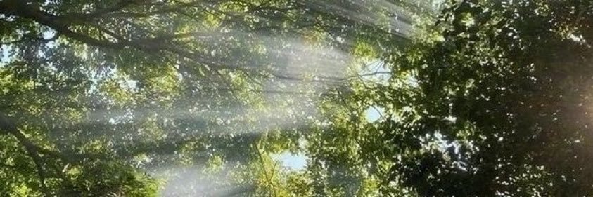 r_dxmi's profile banner image