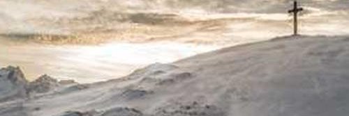 ylux496981's profile banner image