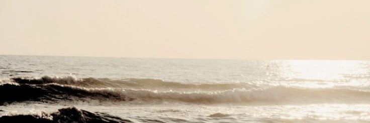 Meli banner