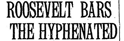 DualCitizenshipWatch banner