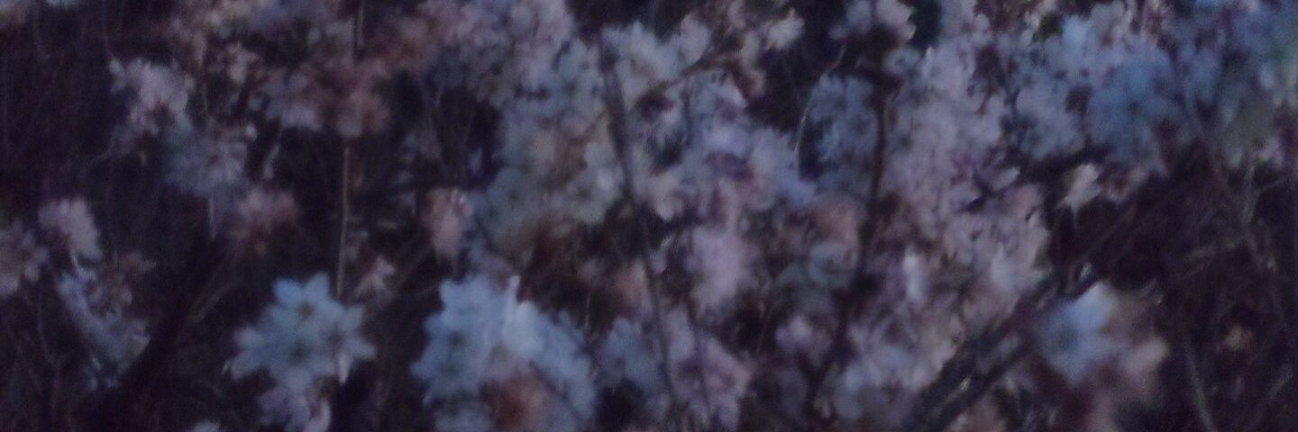 わんこ banner