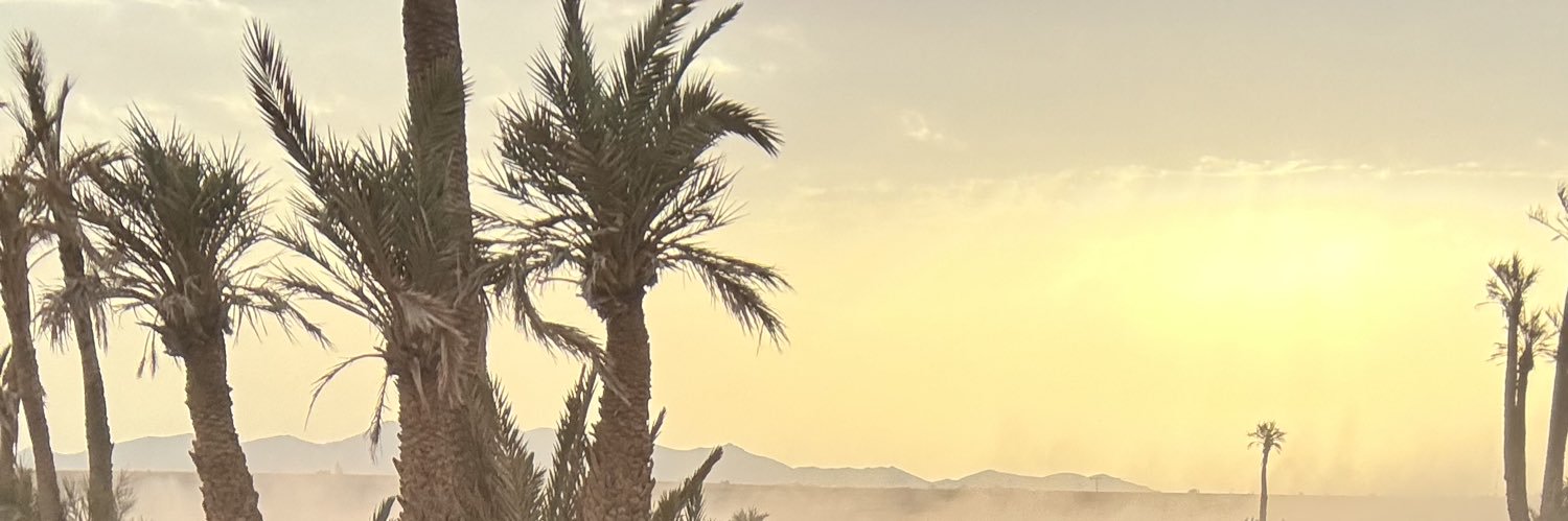 wsh22s's profile banner image