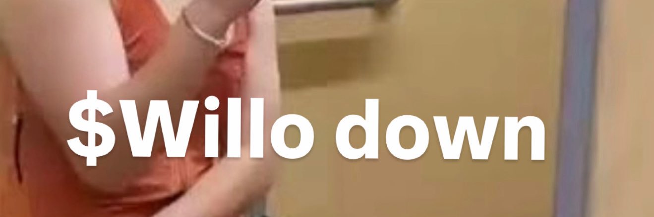 Willito down (@willodownn) / Posts / X