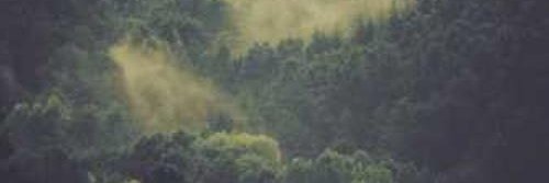 zzvgmnf31585's profile banner image