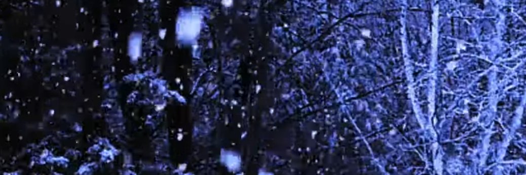 Nevermoor banner